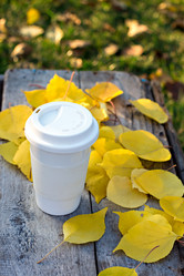 Similar image 12987622