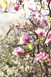 Similar image 12987647