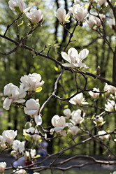 Similar image 12987648