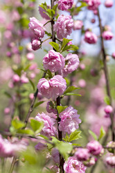 Similar image 12987649