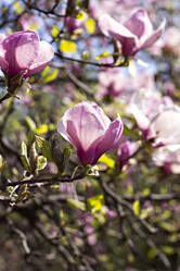 Similar image 12987661