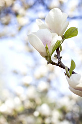 Similar image 12987662