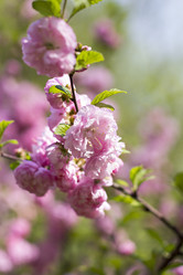 Similar image 12987663