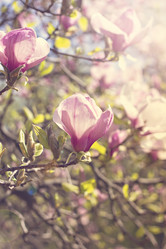 Similar image 12988059