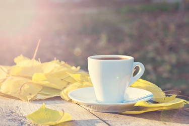 Similar image 12988060