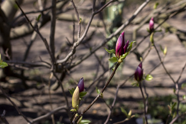 Similar image 12988079