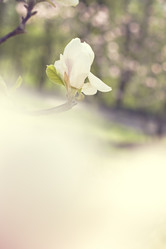 Similar image 12998511