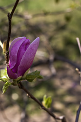 Similar image 12998512