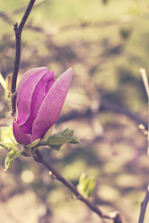 Similar image 12998362