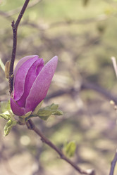 Similar image 12998370