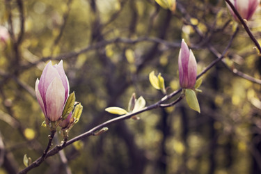 Similar image 12998371