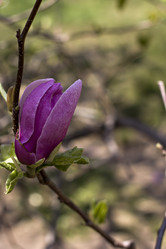 Similar image 12998401