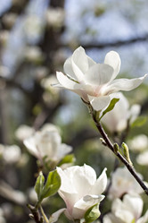 Similar image 12998917