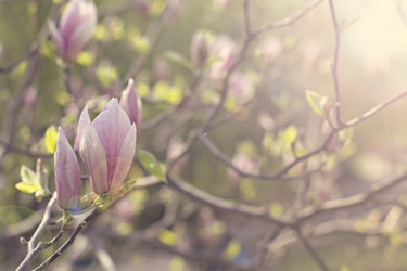 Similar image 12998731