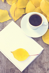 Similar image 12998732