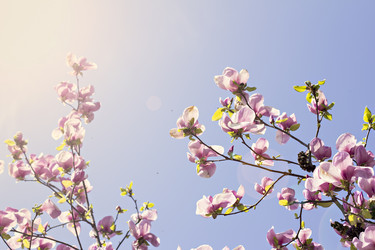 Similar image 12998538