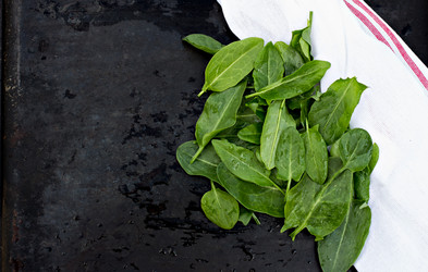 Similar image 12982860