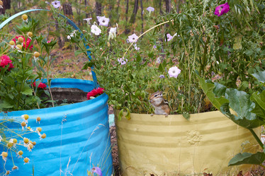 Similar image 12987201