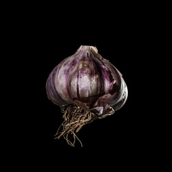 Similar image 12978284