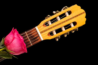 Similar image 12978288