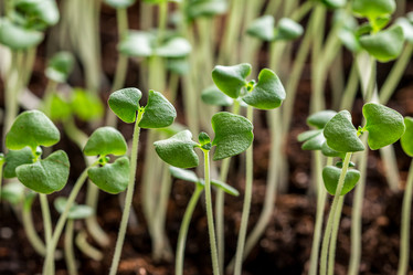 Similar image 12978290