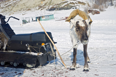 Similar image 12987202