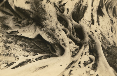 Similar image 12698194