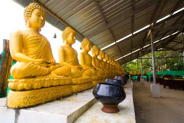 Similar image 12698201