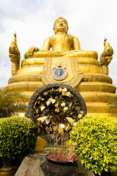 Similar image 12698202