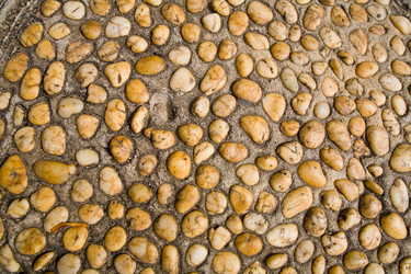 Similar image 12698204