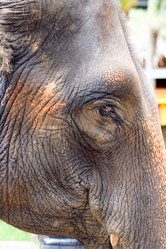 Similar image 12698244