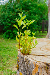 Similar image 12979500