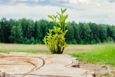 Similar image 12979510