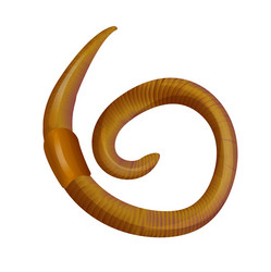 Similar image 12983962