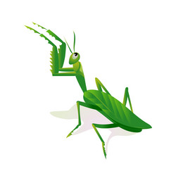 Similar image 12983908