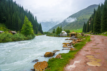 Similar image 12988823