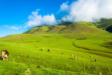 Similar image 12988826