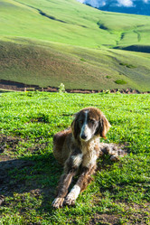 Similar image 12988833