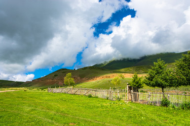 Similar image 12988835