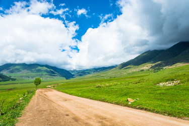 Similar image 12988855