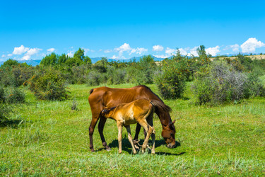 Similar image 12988876