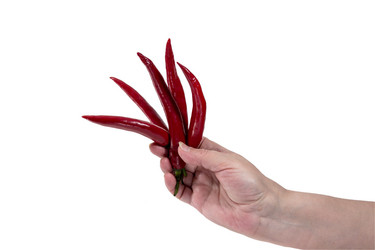 Similar image 12986343