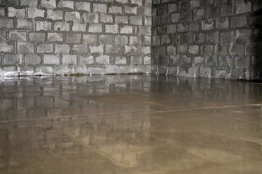 Similar image 12999477