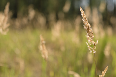 Similar image 12698167