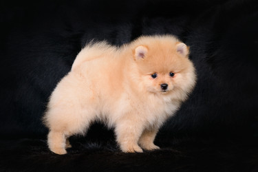 Similar image 12977420