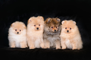 Similar image 12977421