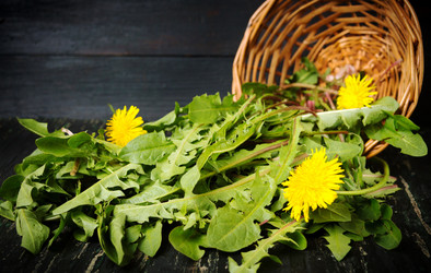 Similar image 12698429