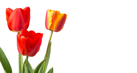 Similar image 12698432