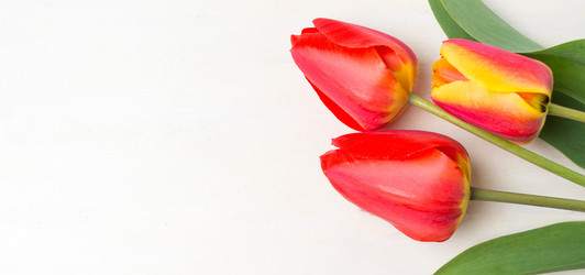 Similar image 12698441