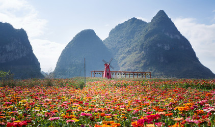 Similar image 12698039